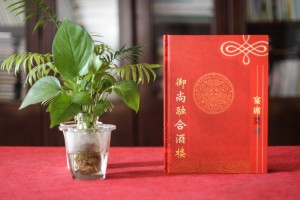 宴會(huì)宴席菜單設(shè)計(jì)制作 有中國(guó)特色的酒樓菜譜設(shè)計(jì)制作案例