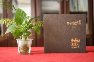 五星級酒店特色餐廳制作高檔菜單實拍圖片-給菜譜設計廠家跪了!