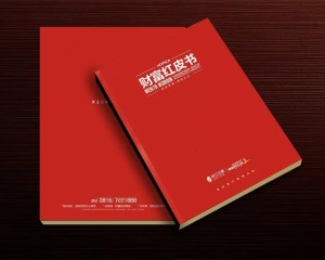 真正高端的房地產(chǎn)企業(yè)宣傳畫冊設(shè)計 擺脫創(chuàng)意文案 廣告照樣牛逼！