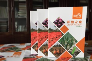 【500強企業(yè)】怎樣設計公司內部期刊雜志,期刊欄目內容怎么規(guī)劃