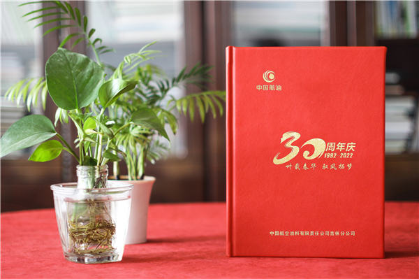 公司成立三十周年紀(jì)念畫冊-單位30周年圖冊內(nèi)容設(shè)計(jì)