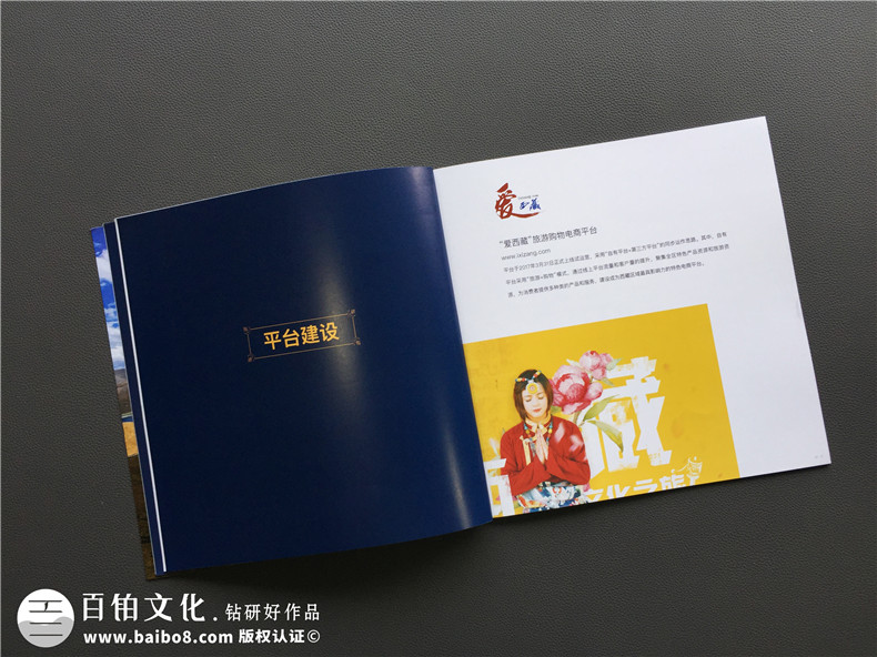 「案例」電商平臺企業(yè)宣傳畫冊設(shè)計-如何制作互聯(lián)網(wǎng)公司產(chǎn)品宣傳冊