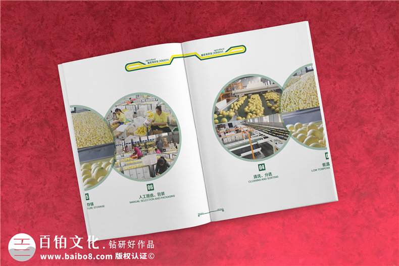 商鋪產(chǎn)品促銷宣傳冊設(shè)計-有哪些設(shè)計步驟