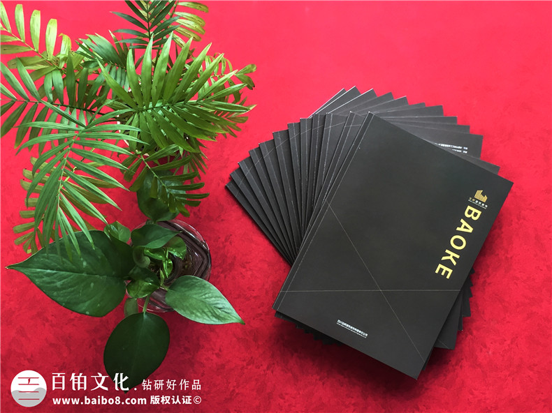 提升企業(yè)形象的宣傳冊方案設(shè)計注意什么第1張-宣傳畫冊,紀念冊設(shè)計制作-價格費用,文案模板,印刷裝訂,尺寸大小