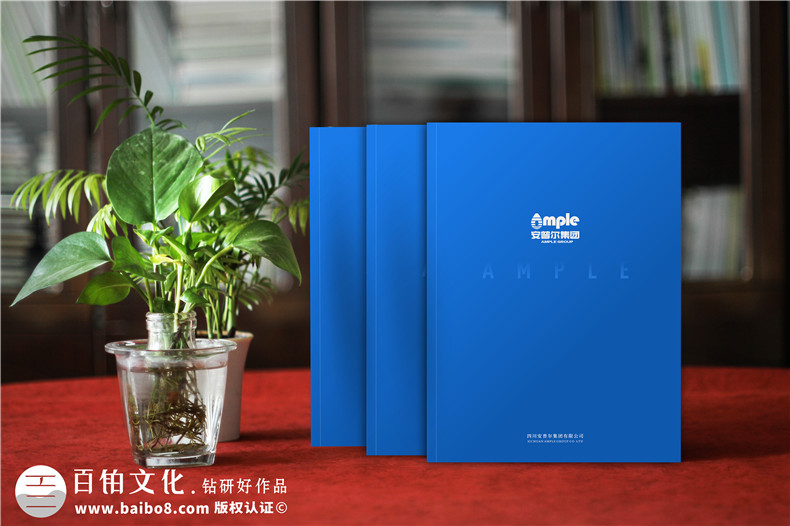 能源公司畫冊設計-創(chuàng)新與可持續(xù)發(fā)展的畫冊融合