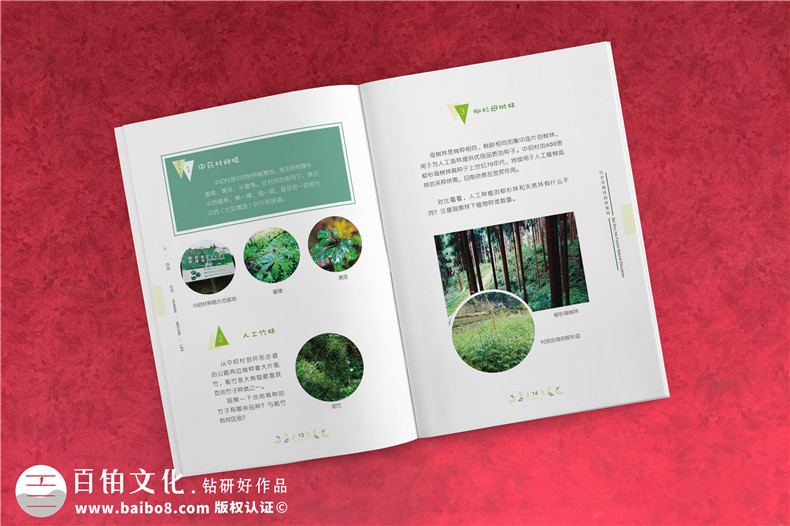 旅游行業(yè)公司宣傳冊的設(shè)計(jì)方法第3張-宣傳畫冊,紀(jì)念冊設(shè)計(jì)制作-價格費(fèi)用,文案模板,印刷裝訂,尺寸大小