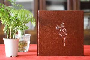 給即將退休的黨委書(shū)記干部做電子相冊(cè)-如何給領(lǐng)導(dǎo)做工作歷程集錦?