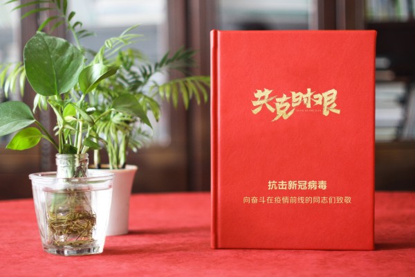 新冠病毒抗疫紀念相冊設計-送奮戰(zhàn)在疫情前線領導同事的留念畫冊