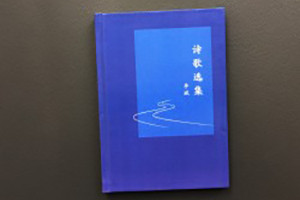 個(gè)人文學(xué)作品集出書-把文學(xué)詩(shī)歌畫作攝影集做成書畫冊(cè)