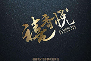 從畫冊設計的重要意義 看成功的企業(yè)畫冊該如何設計